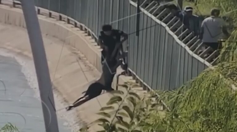 Video çekerken sulama kanalına düştü!