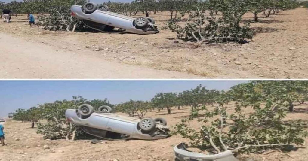 Suruç’ta trafik kazası! Fıstık Tarlasına Uçtu