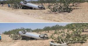 Suruç’ta trafik kazası! Fıstık Tarlasına Uçtu