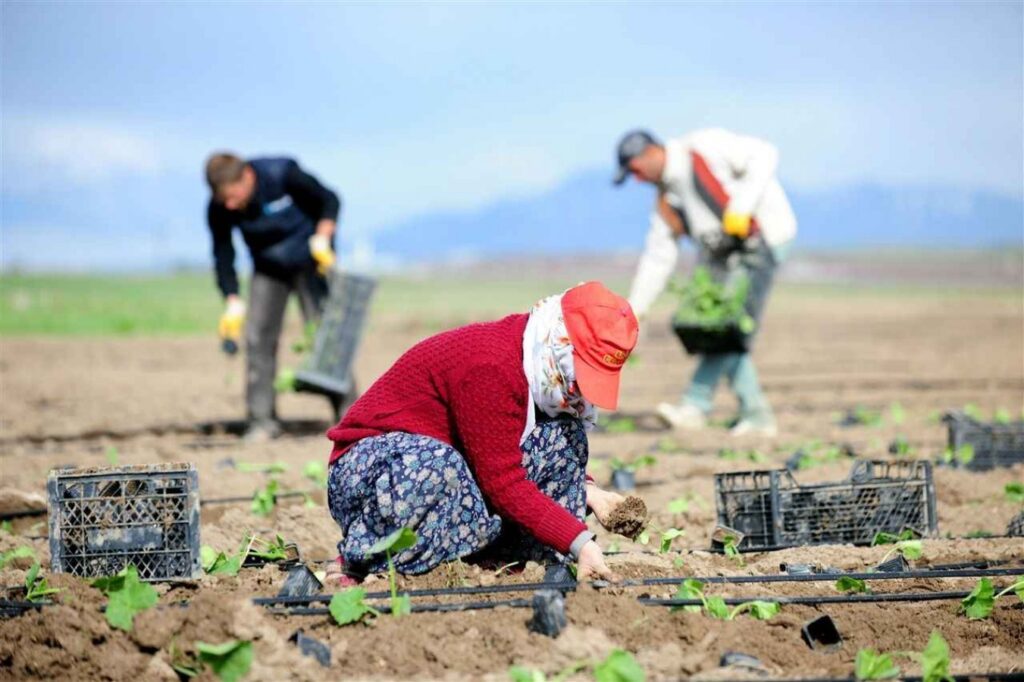 1 milyon 366 bin tarım arazisi bankalarda rehin