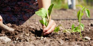 Bakanlıktan gıda fiyatlarını düşürecek hamle!
