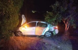 Bozova’da araç atlara çarpıp şarampole uçtu!