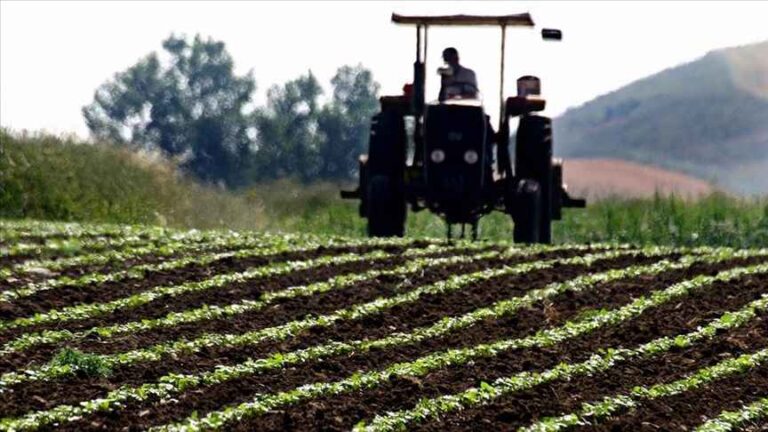 Çiftçilere tarımsal destek ödemesi bugün yapılacak
