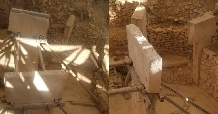 Göbeklitepe’de kuş tehdidine karşı harekete geçildi
