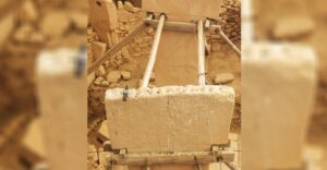 Göbeklitepe’de yeni tehdit: Kuş pisliği!