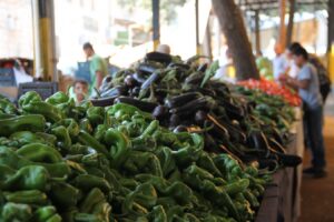 Şanlıurfa’da sıcaklık ve akaryakıt fiyatlarının düşmesi pazardaki ürünlere olumlu yansıdı