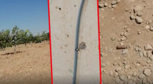 Şanlıurfa’da olay anına ait görüntüler ortaya çıktı!