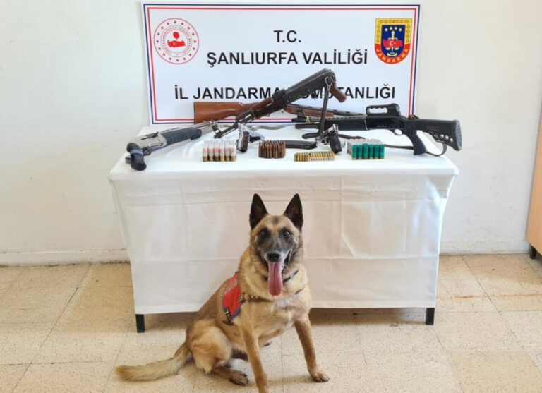 Şanlıurfa’da silah kaçakçılarına operasyon!