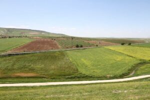 Tarımsal girdi fiyat endeksi arttı!