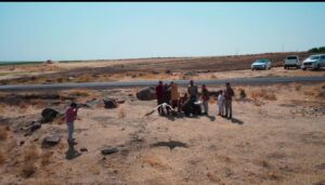 Tedavisi tamamlanan yavru leylekler doğaya salındı