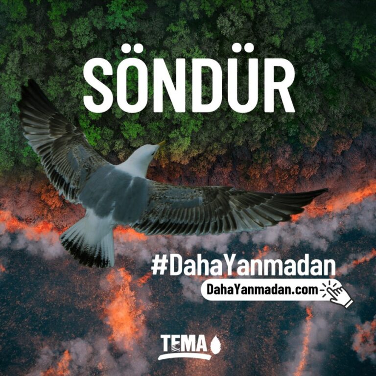 TEMA’dan ‘Orman Yangınları Farkındalık Projesi’