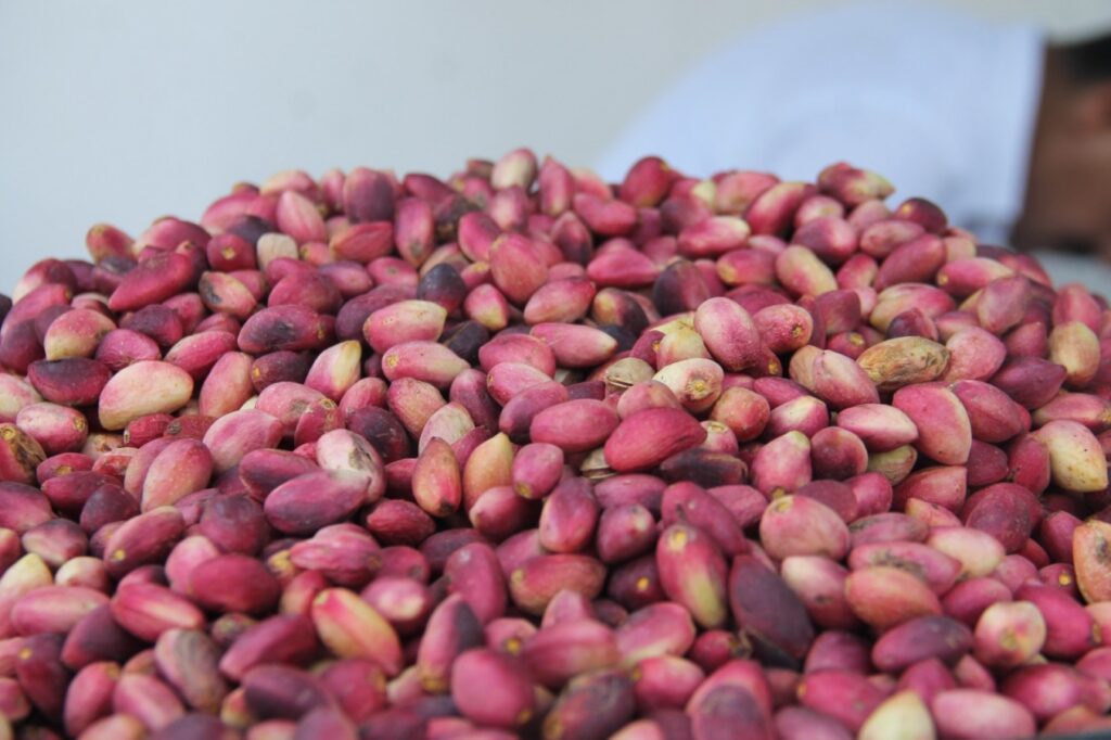 Şanlıurfa fıstığı tezgahlardaki yerini aldı