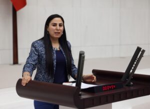 Şanlıurfalı vekil Hilvan’daki su sorununu Meclis’e taşıdı