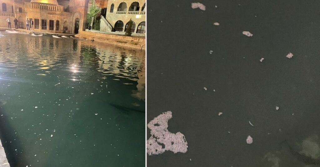 Balıklıgöl’de oluşan müsilaj ve kokuya tepki