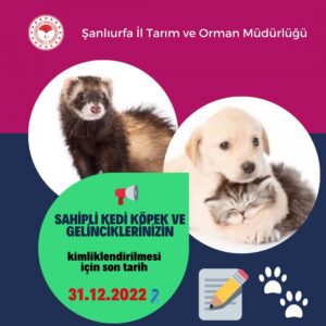 Evcil hayvan sahipleri dikkat: Son tarih 31 Aralık