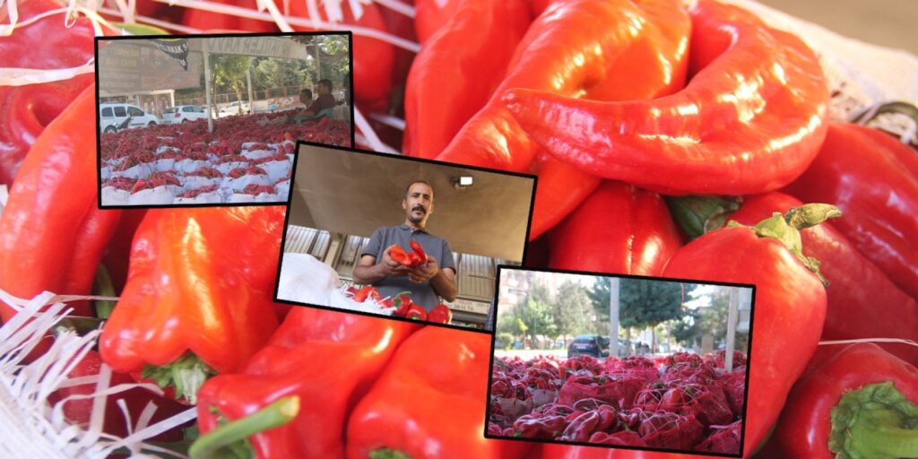 Urfa isotun fiyatı halde 15 liraya çıktı!