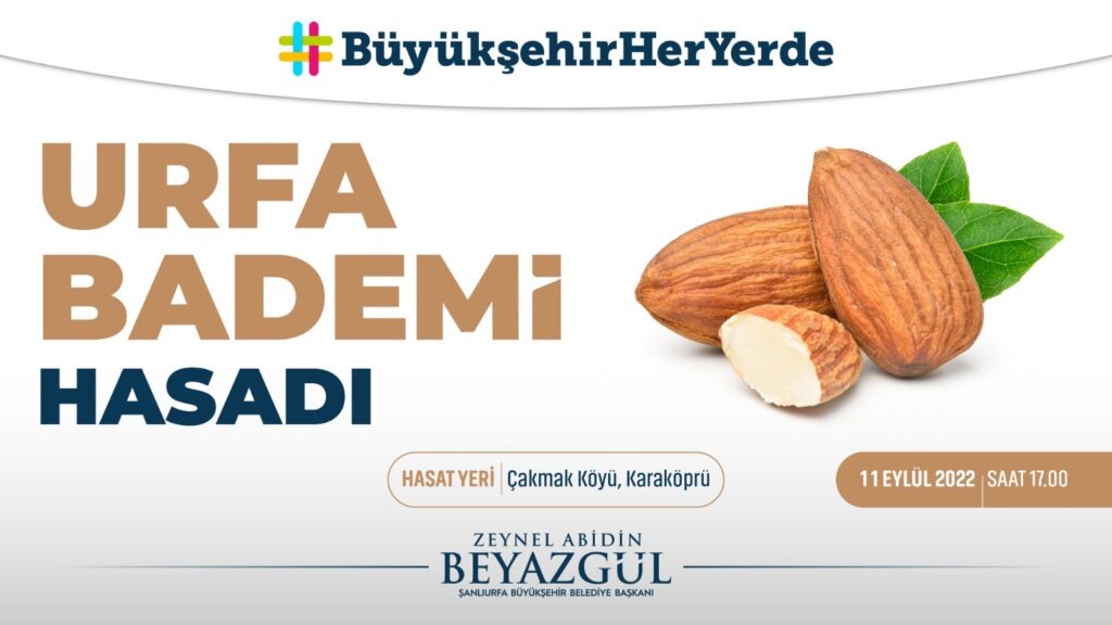 Şanlıurfa’da badem hasadı etkinliği düzenlenecek