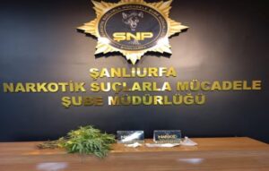 Şanlıurfa’da iki ilçede uyuşturucu operasyonu!