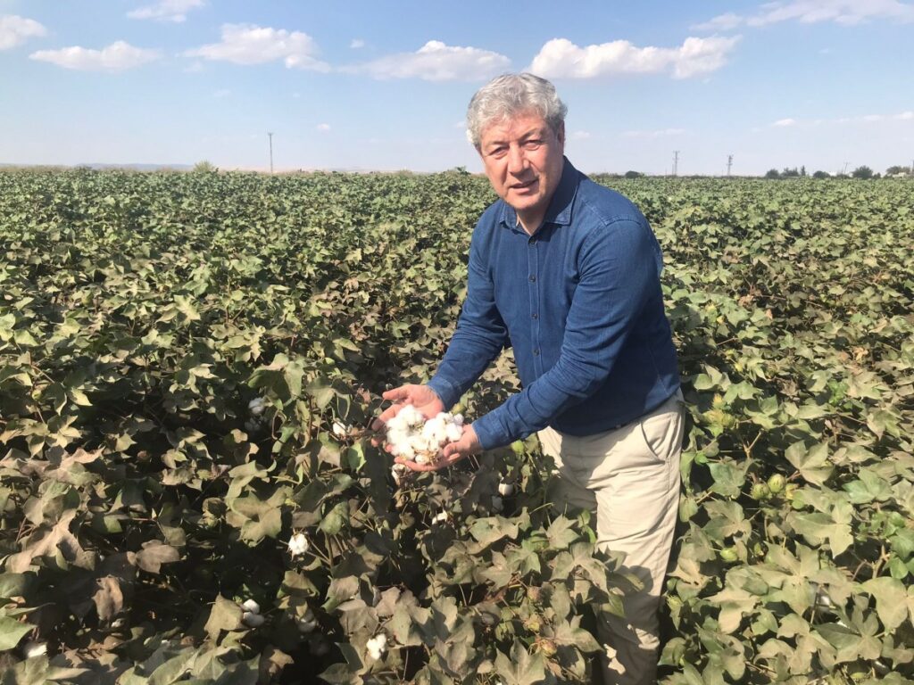 Şanlıurfa’da kütlü pamuğun tahmini maliyeti açıklandı