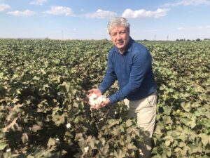 Şanlıurfa’da kütlü pamuğun tahmini maliyeti açıklandı