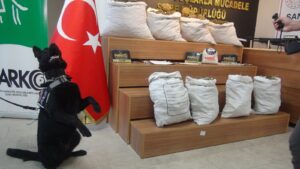 Urfa’da uyuşturucunun kökünü kurutma operasyonu