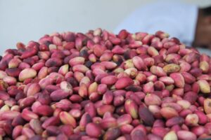 Şanlıurfa fıstığı resmen tescillendi