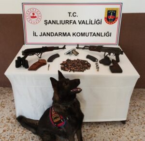 Şanlıurfa’da silah kaçakçılarına baskın