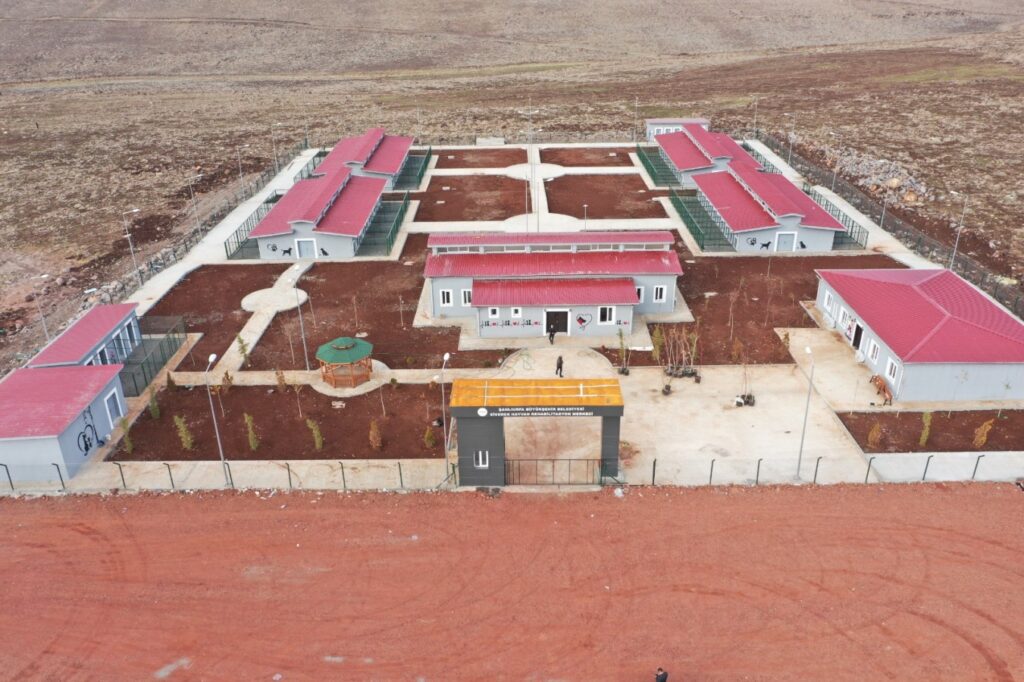 Şanlıurfa’da sokak hayvanları için modern tesis