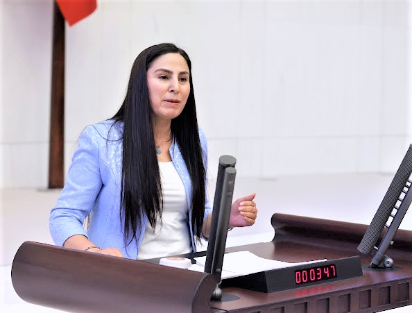 Vekil Ayşe Sürücü: Siverek’teki sorunu Meclis’e taşıdı