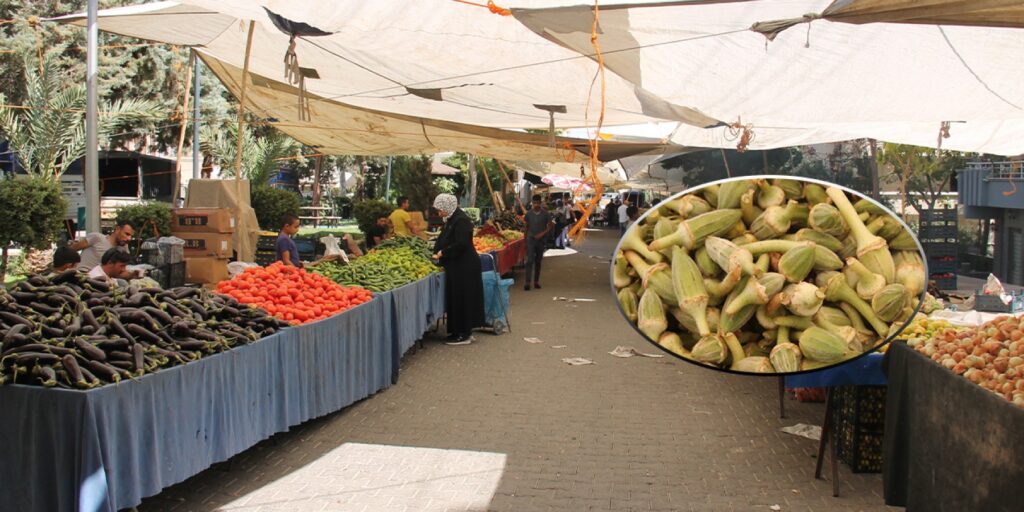 Yaz sebzesi bamya fiyatıyla cep yakıyor