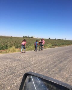 CHP Şanlıurfa İl Başkanı Ferhat Karadağ ‘’ihalesi yapılan servisler çalışmıyor!’’