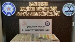 Ankara’da dolandırıcılık yapan 2 kişi Urfa’da yakalandı