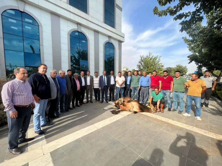 ŞUTB Başkanı Mehmet Kaya, tebrikleri kabul etmeye devam ediyor
