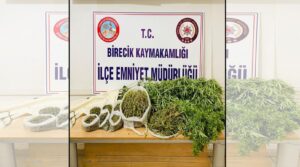 Birecik’te uyuşturucu operasyonu