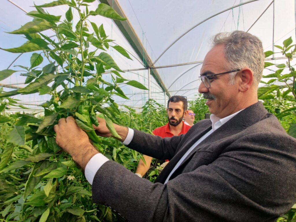 Eyyübiye Sera Kent’te onuncu biber hasadı yapıldı