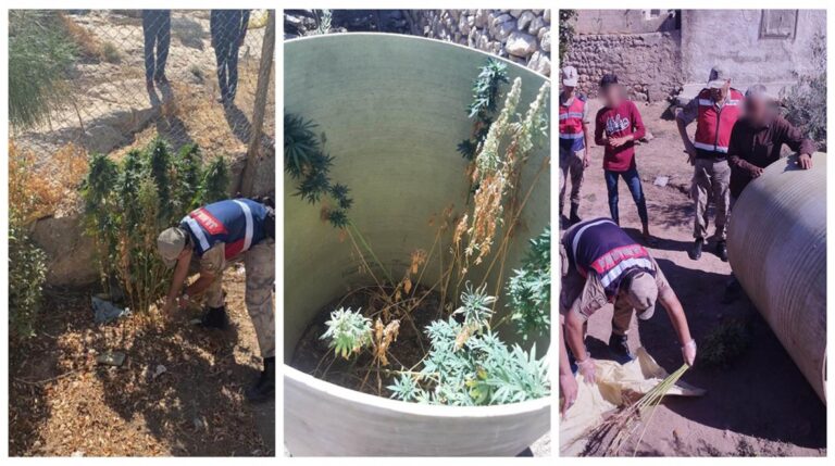 Eyyübiye’de evde Hint keneviri yetiştiren 2 zanlı yakalandı