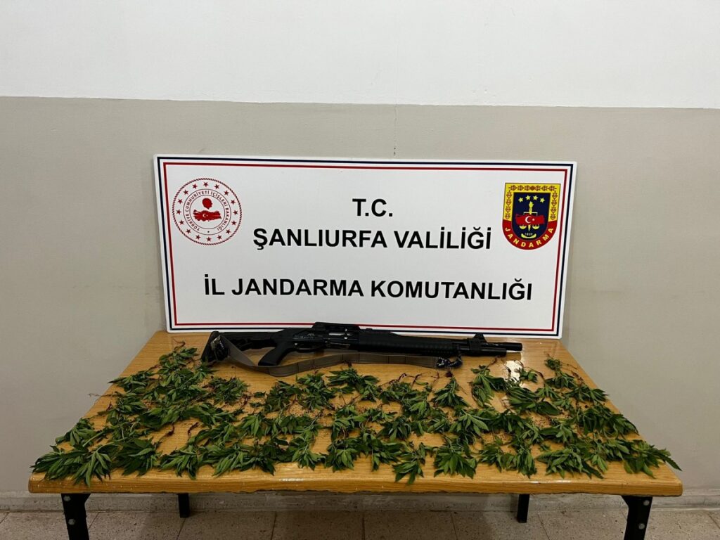 Hilvan’da jandarmadan operasyon