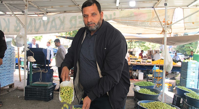 Şanlıurfa’da yeşil zeytin tezgâha indi