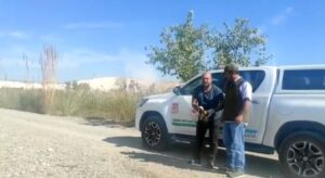 Şanlıurfa’da yaralı bulunan saz delicesi, tedavisinin tamamlanmasının ardından doğaya salındı