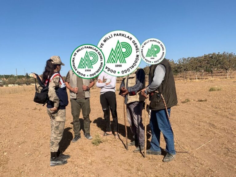 Şanlıurfa’da kaçak avcılara baskın
