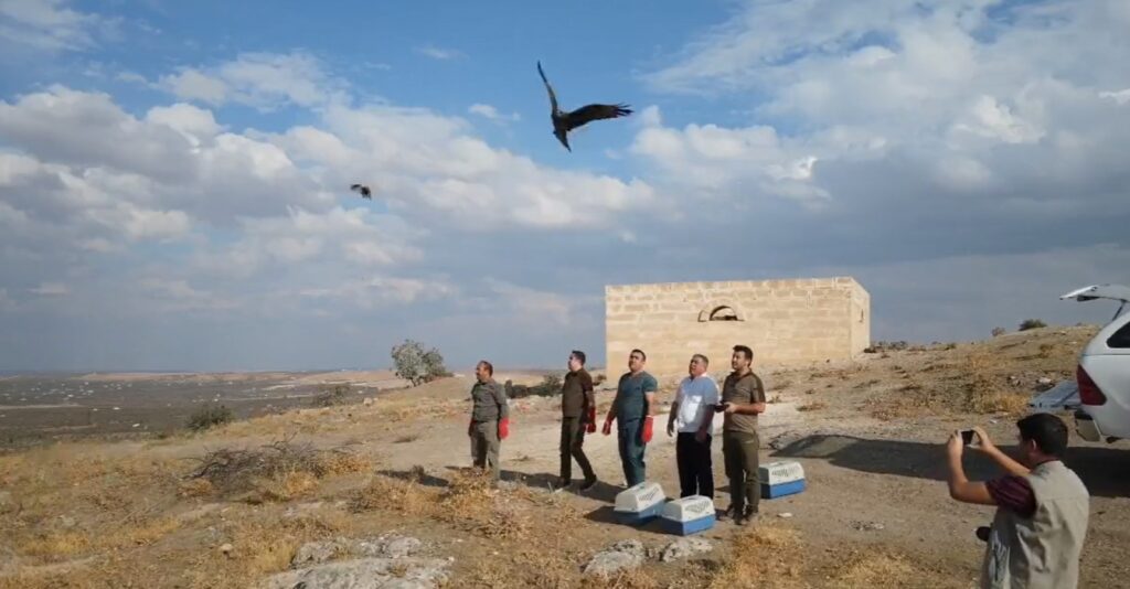 Şanlıurfa’da yabani kuşlar doğaya bırakıldı
