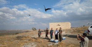 Şanlıurfa’da yabani kuşlar doğaya bırakıldı