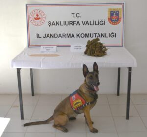 Akçakale’de uyuşturucu operasyonu!