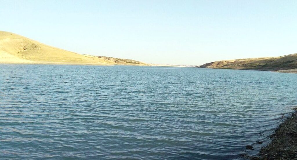 HRÜ, Fırat Nehrinde Tehdit Oluşturan İstilacı Sazan Balıkları İçin Proje Üretiyor