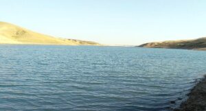 HRÜ, Fırat Nehrinde Tehdit Oluşturan İstilacı Sazan Balıkları İçin Proje Üretiyor