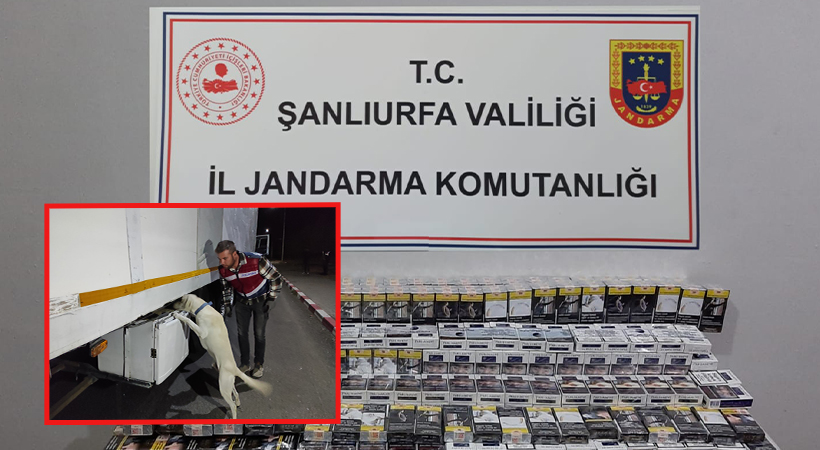 Şanlıurfa’da jandarmadan ‘şok yol arama’ faaliyeti