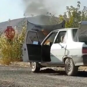 Eyyübiye’de Seyir halindeyken alev aldı!