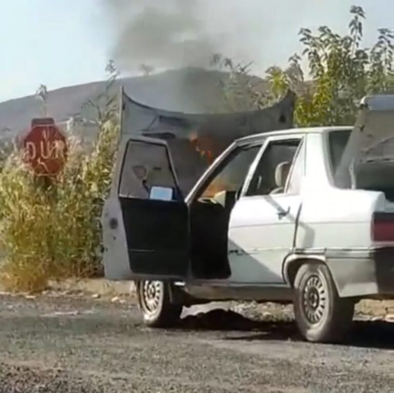 Eyyübiye’de Seyir halindeyken alev aldı!