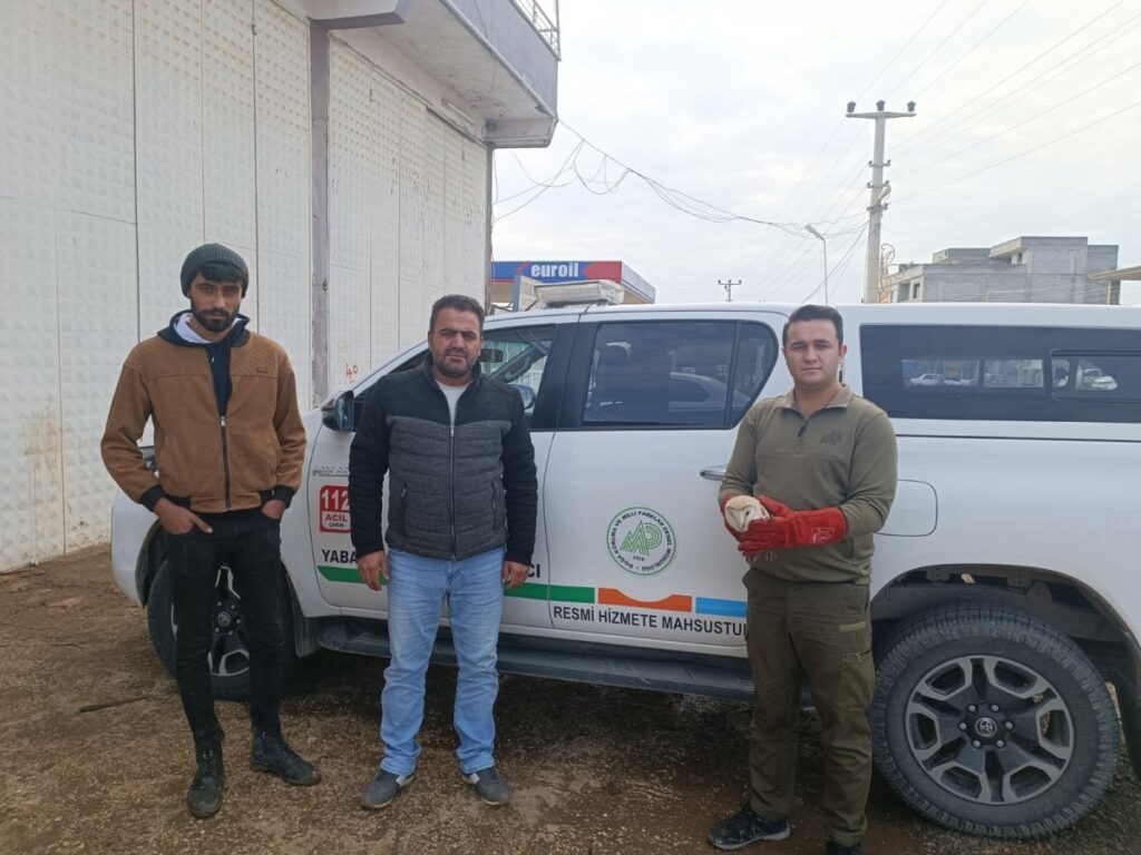 Şanlıurfa’da Tedavisi tamamlanan kuş doğaya bırakıldı!