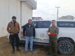 Şanlıurfa’da Tedavisi tamamlanan kuş doğaya bırakıldı!